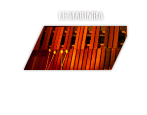 le marimba
￼En savoir plus sur cet instrument...